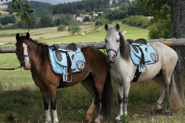 Ferienhaus in saint jean chambre (Ard�che) oder Ferienwohnung oder Ferienhaus