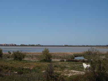 Ferienhaus in Les Saintes Maries de la Mer (Bouches-du-Rh�ne) oder Ferienwohnung oder Ferienhaus