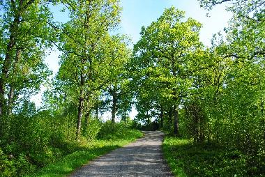 Villa in Anderstorp (Smaland) oder Ferienwohnung oder Ferienhaus