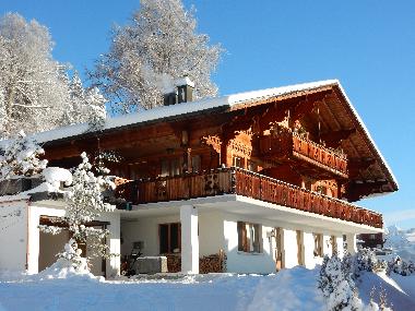 Ferienwohnung in Beatenberg (Beatenberg) oder Ferienwohnung oder Ferienhaus