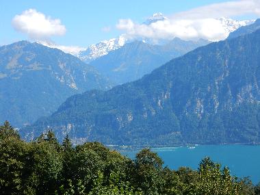Ferienwohnung in Beatenberg (Beatenberg) oder Ferienwohnung oder Ferienhaus