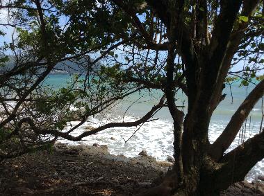 Ferienwohnung in Sainte Luce  (Martinique) oder Ferienwohnung oder Ferienhaus