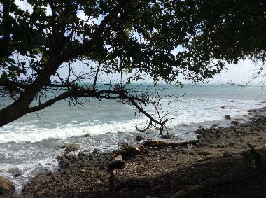 Ferienwohnung in Sainte Luce  (Martinique) oder Ferienwohnung oder Ferienhaus