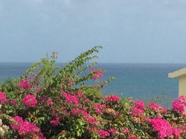 Ferienwohnung in Sainte Luce  (Martinique) oder Ferienwohnung oder Ferienhaus