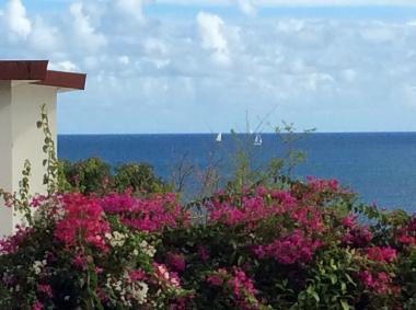 Ferienwohnung in Sainte Luce  (Martinique) oder Ferienwohnung oder Ferienhaus