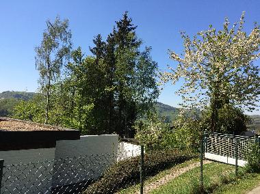 Ferienhaus in Biedenkopf (Marburg-Biedenkopf) oder Ferienwohnung oder Ferienhaus