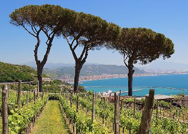 Pension in RAITO-VIETRI SUL MARE (Salerno) oder Ferienwohnung oder Ferienhaus