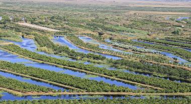 Ferienhaus in mihalj (Dubrovacko-Neretvanska) oder Ferienwohnung oder Ferienhaus