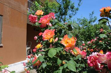 Ferienhaus in Santi cosma e damiano  (Latina) oder Ferienwohnung oder Ferienhaus