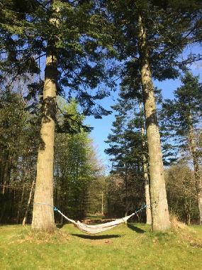 Ferienhaus in Aars (Nordjylland) oder Ferienwohnung oder Ferienhaus