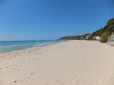 Die wei�en Sandstr�nde direkt in der N�he