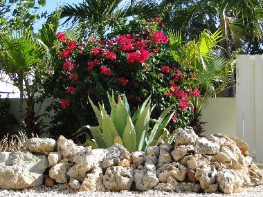 Ferienhaus in Grote Berg (Curacao) oder Ferienwohnung oder Ferienhaus