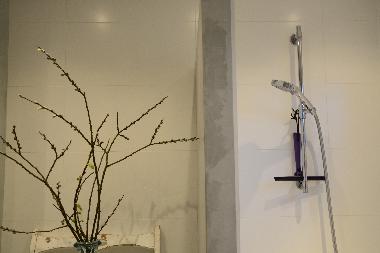 Ferienwohnung in Vrouwenpolder (Zeeland) oder Ferienwohnung oder Ferienhaus