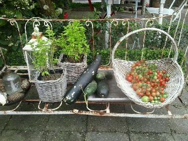 Ferienwohnung in Vrouwenpolder (Zeeland) oder Ferienwohnung oder Ferienhaus