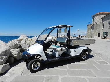 Ferienwohnung in Piran (Piran) oder Ferienwohnung oder Ferienhaus