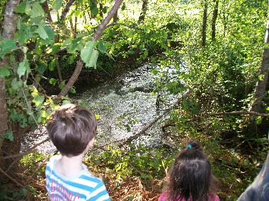 Ferienhaus in LES JUNIES (FRANCE) (Lot) oder Ferienwohnung oder Ferienhaus