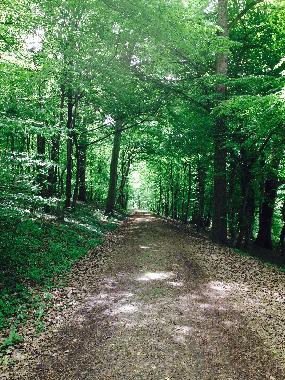 Ferienwohnung in Lahr -Sulz (Schwarzwald) oder Ferienwohnung oder Ferienhaus