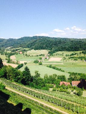 Ferienwohnung in Lahr -Sulz (Schwarzwald) oder Ferienwohnung oder Ferienhaus