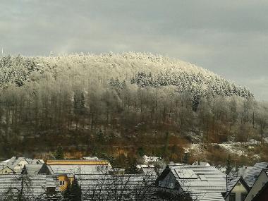 Ferienwohnung in Lahr -Sulz (Schwarzwald) oder Ferienwohnung oder Ferienhaus