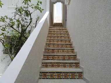 Ferienwohnung in Hammamet (Nabul) oder Ferienwohnung oder Ferienhaus