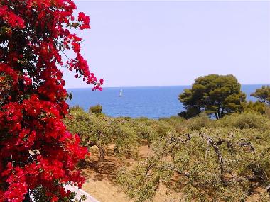 Ferienhaus in Cefalu (Palermo) oder Ferienwohnung oder Ferienhaus