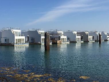 Ferienhaus in OstseeResort Olpenitz (Ostsee-Festland) oder Ferienwohnung oder Ferienhaus