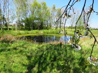 Impressionen Holtgast