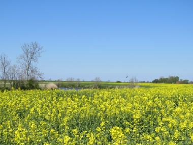 Impressionen Holtgast