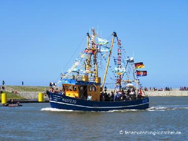 Umgebung : Kutterregatta in Neuharlingersiel