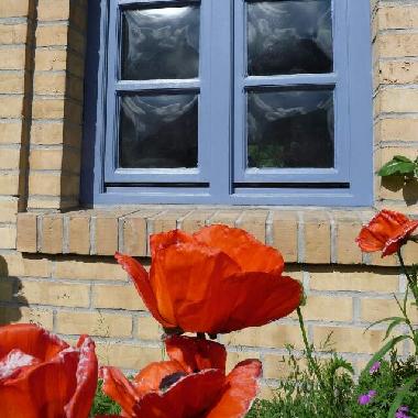 Ferienhaus in Sieverstedt (Ostsee-Festland) oder Ferienwohnung oder Ferienhaus