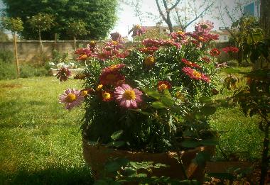 Ferienwohnung in Rovinj (Istarska) oder Ferienwohnung oder Ferienhaus