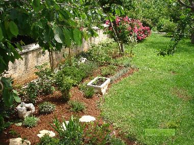 Ferienwohnung in Rovinj (Istarska) oder Ferienwohnung oder Ferienhaus