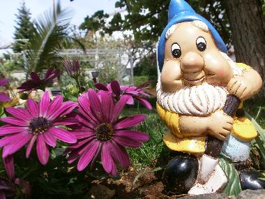 Ferienwohnung in Rovinj (Istarska) oder Ferienwohnung oder Ferienhaus