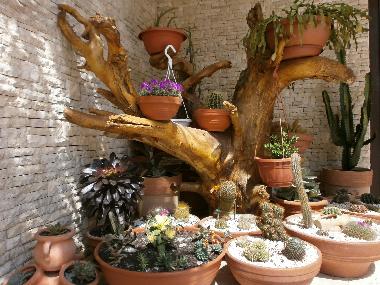 Ferienwohnung in Rovinj (Istarska) oder Ferienwohnung oder Ferienhaus