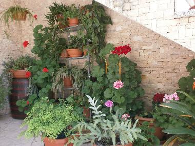 Ferienwohnung in Rovinj (Istarska) oder Ferienwohnung oder Ferienhaus