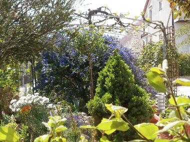 Ferienwohnung in Rovinj (Istarska) oder Ferienwohnung oder Ferienhaus