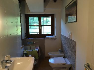 Ferienhaus in Arezzo (Arezzo) oder Ferienwohnung oder Ferienhaus