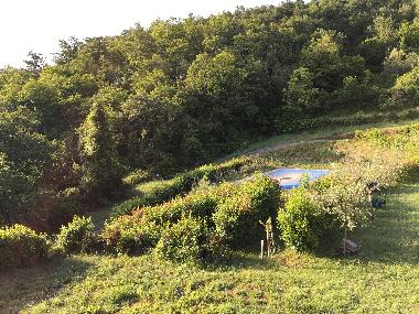 Ferienhaus in Arezzo (Arezzo) oder Ferienwohnung oder Ferienhaus