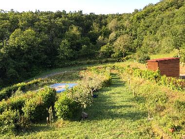 Ferienhaus in Arezzo (Arezzo) oder Ferienwohnung oder Ferienhaus