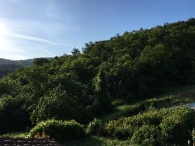 Ferienhaus in Arezzo (Arezzo) oder Ferienwohnung oder Ferienhaus