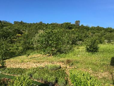 Ferienhaus in Arezzo (Arezzo) oder Ferienwohnung oder Ferienhaus