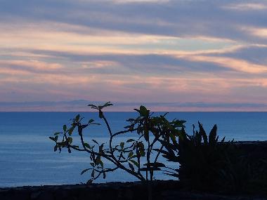 Ferienwohnung in ACANTILADO DE LOS GIGANTES (Teneriffa) oder Ferienwohnung oder Ferienhaus