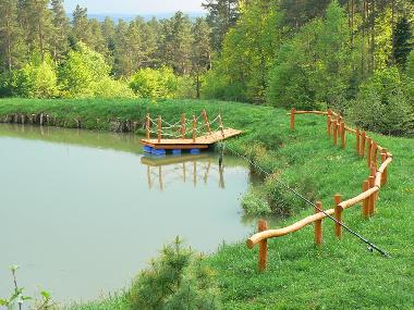 Ferienhaus in Skopw  51 (Podkarpackie) oder Ferienwohnung oder Ferienhaus