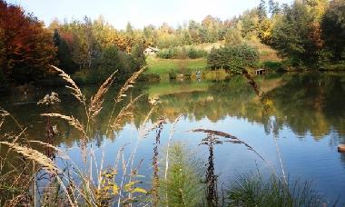 Ferienhaus in Skopw  51 (Podkarpackie) oder Ferienwohnung oder Ferienhaus