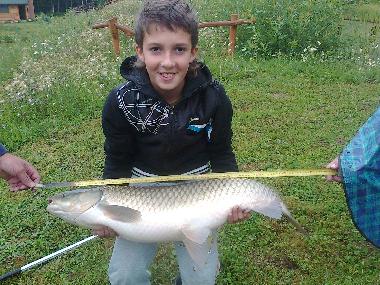Ferienhaus in Skopw  51 (Podkarpackie) oder Ferienwohnung oder Ferienhaus