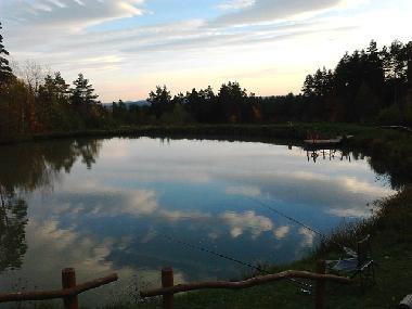 Ferienhaus in Skopw  51 (Podkarpackie) oder Ferienwohnung oder Ferienhaus