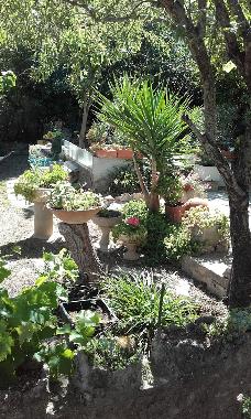 Villa in TOULON (Var) oder Ferienwohnung oder Ferienhaus