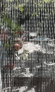 Villa in TOULON (Var) oder Ferienwohnung oder Ferienhaus