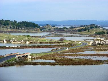 Landschaft um Gruissan
