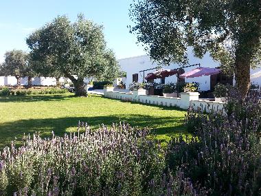 Villa in Monopoli (Bari) oder Ferienwohnung oder Ferienhaus